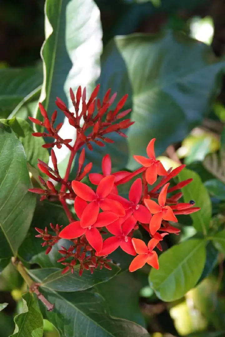 Cairns, Australien - Photo 8