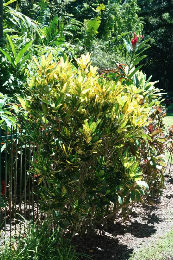 Cairns, Australien - Photo 10