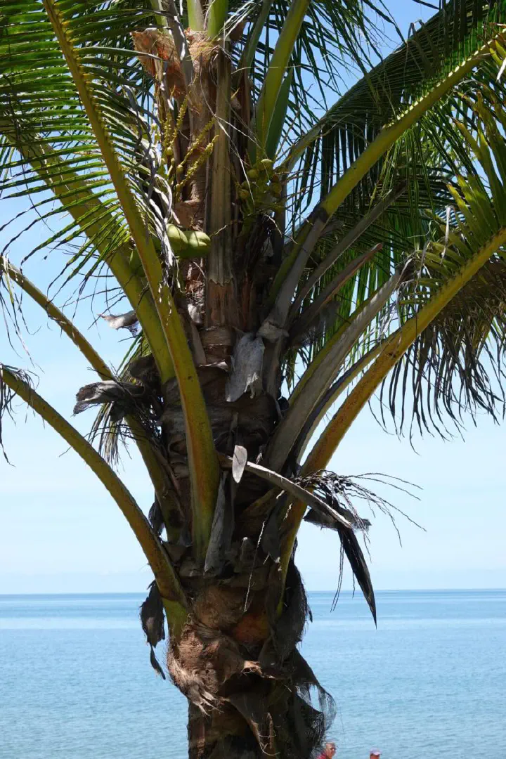 Cairns, Australien - Photo 17