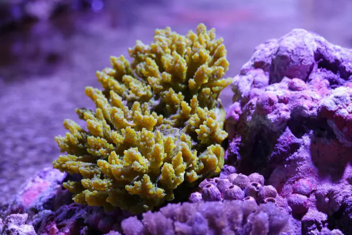 Cairns, Australien - Photo 21