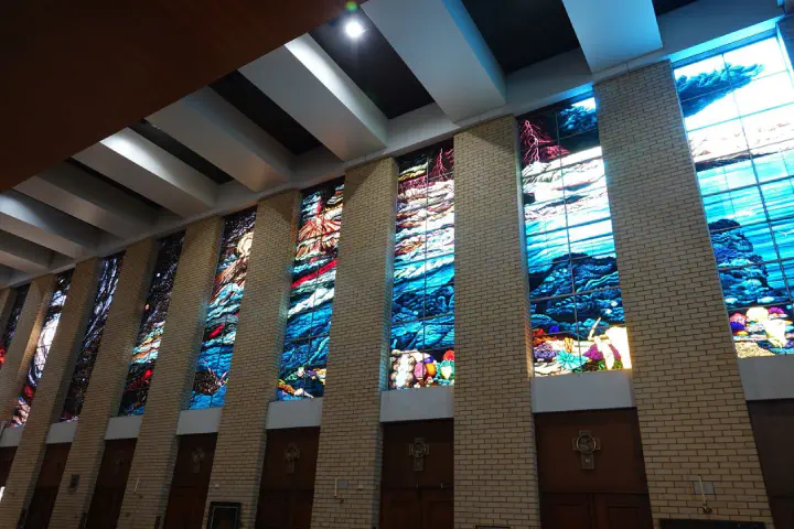 Cairns, Australien - Photo 23