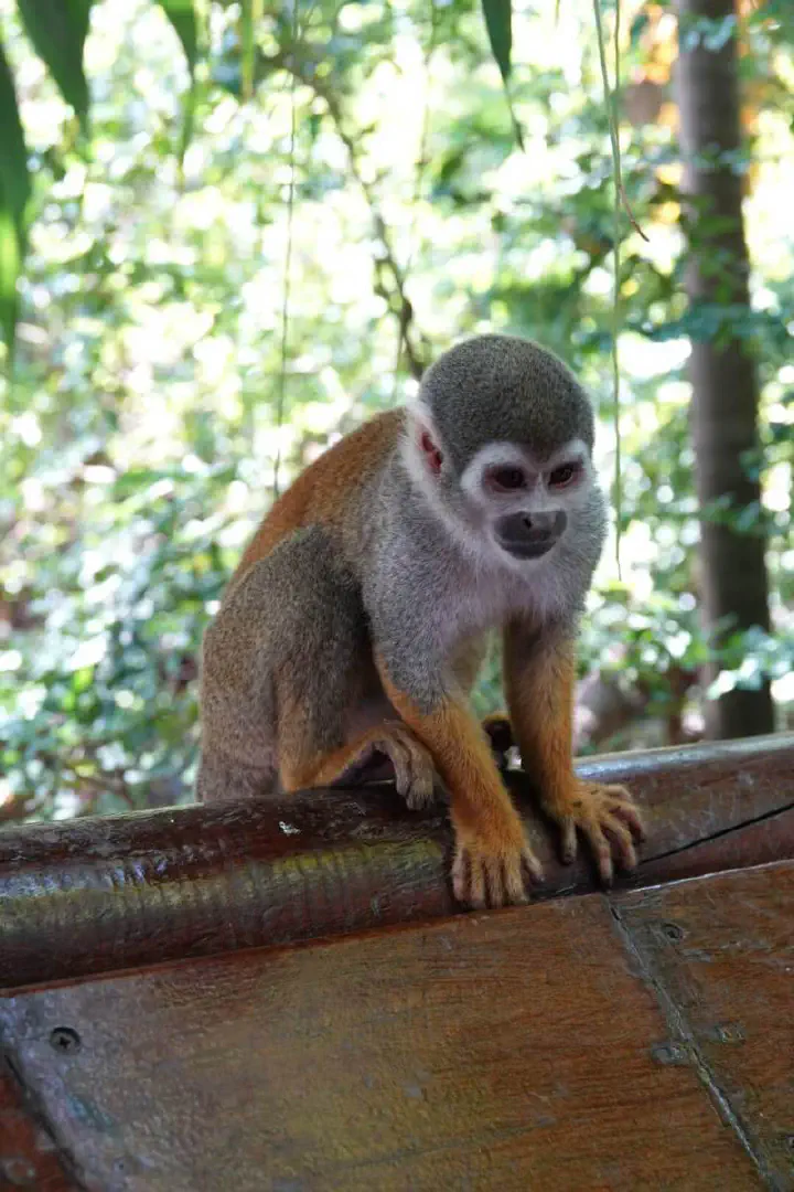 Cartagena, Kolumbien - Photo 31