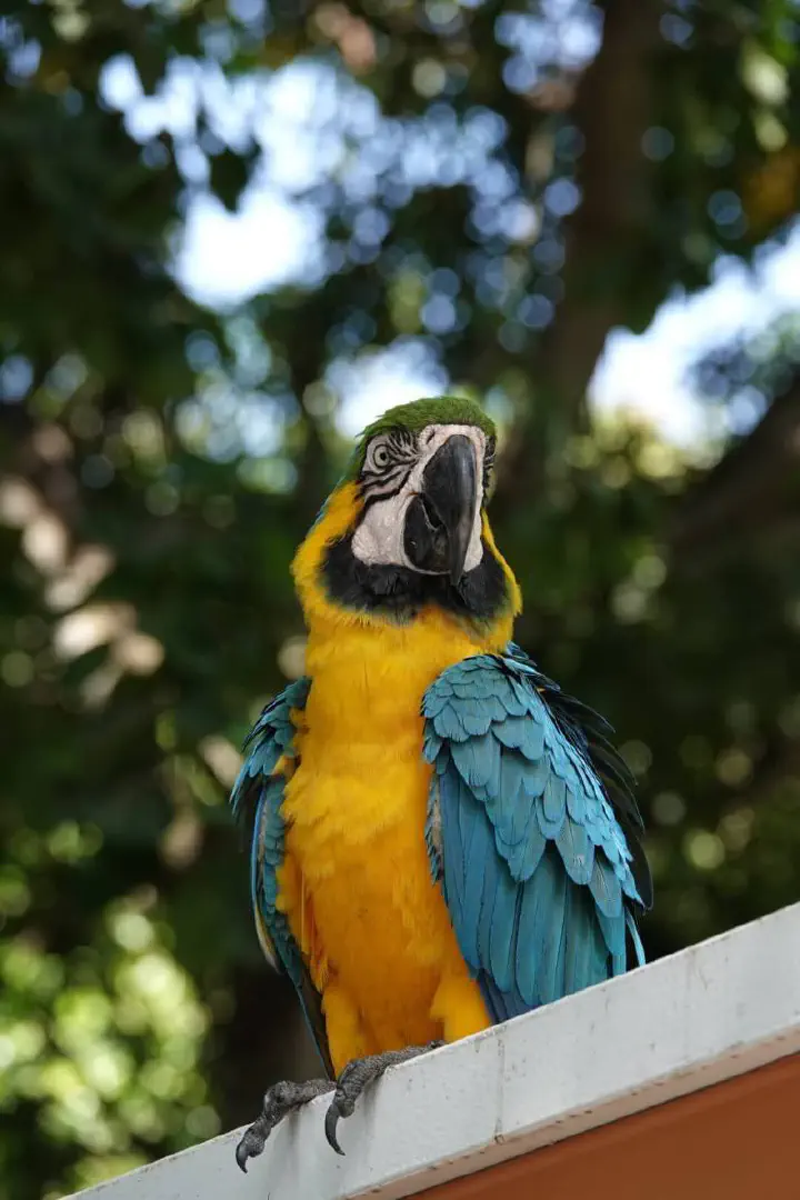 Cartagena, Kolumbien - Photo 32