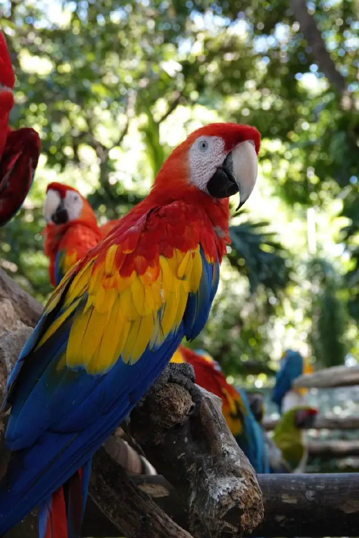 Cartagena, Kolumbien - Photo 33