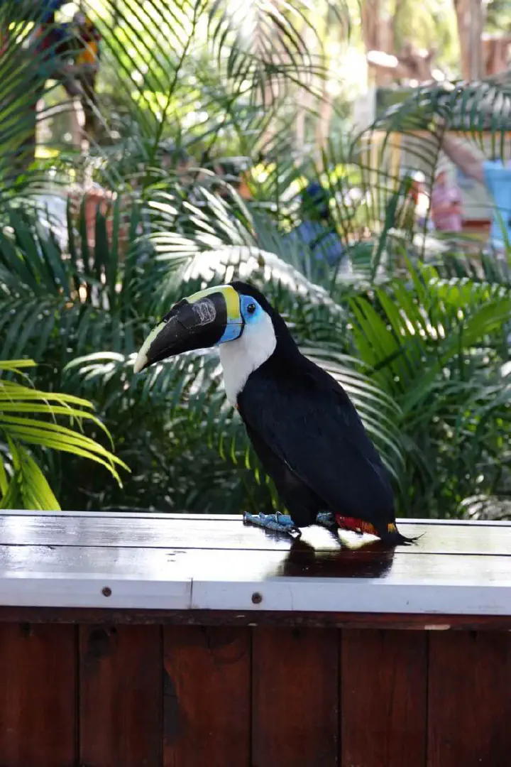 Cartagena, Kolumbien - Photo 34