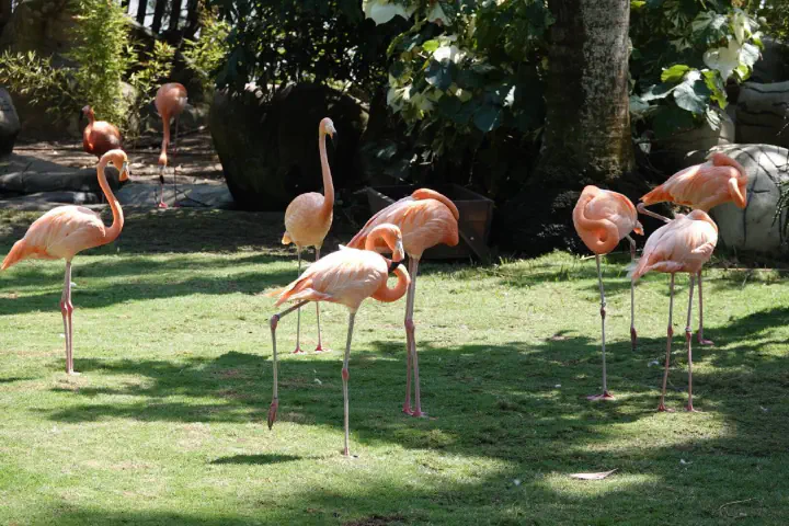 Cartagena, Kolumbien - Photo 35