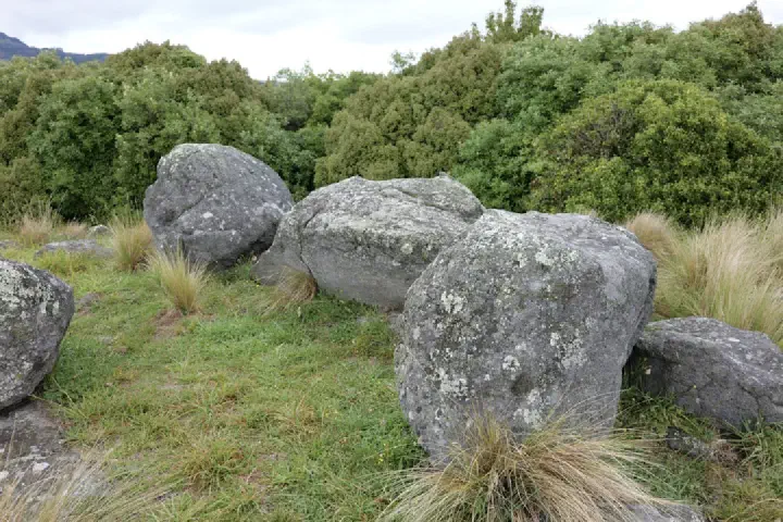 Christchurch, Neuseeland - Photo 6