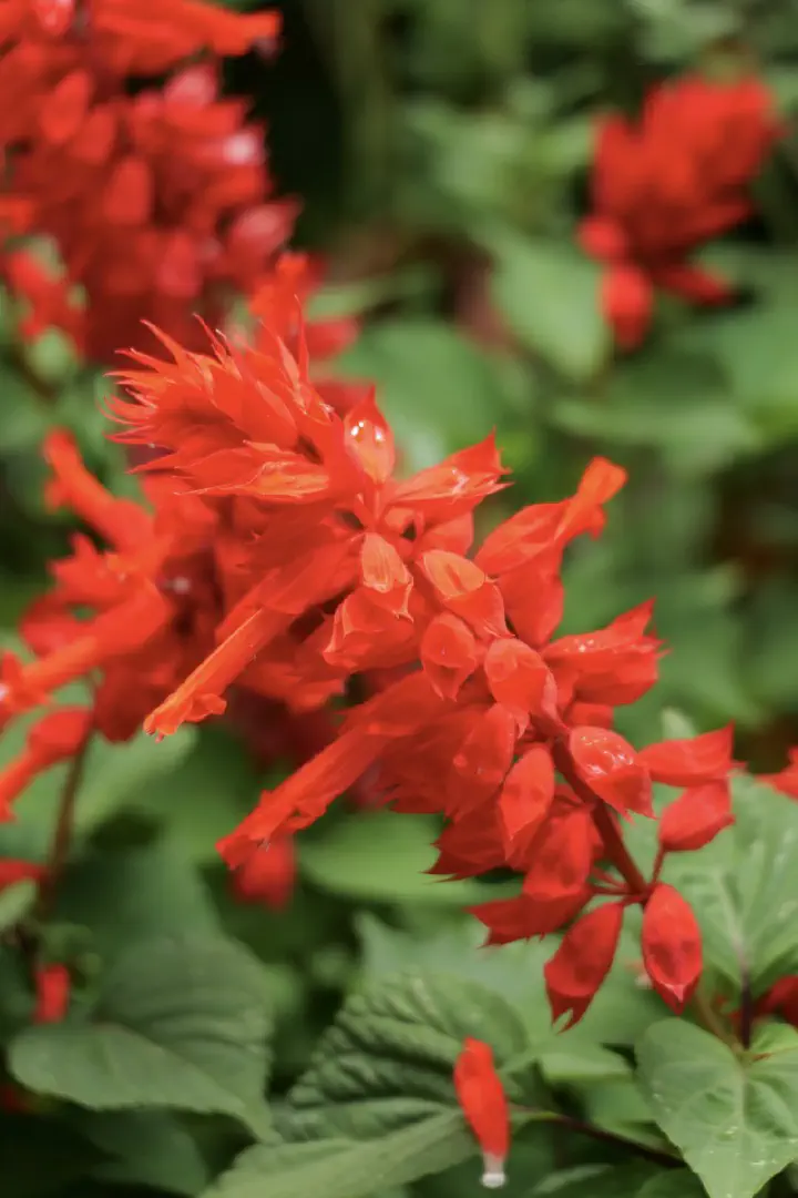 Christchurch, Neuseeland - Photo 8