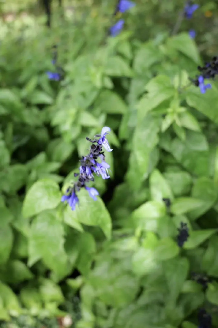 Christchurch, Neuseeland - Photo 9