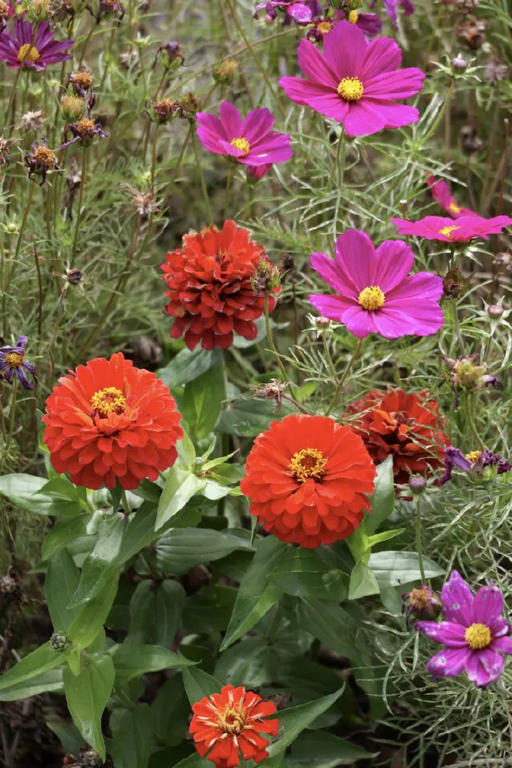 Christchurch, Neuseeland - Photo 11