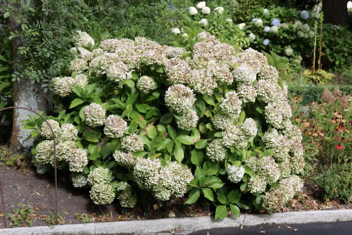 Christchurch, Neuseeland - Photo 16