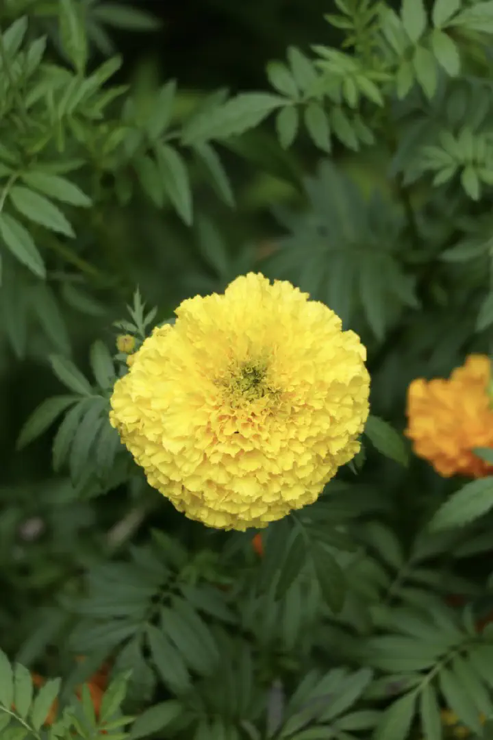 Christchurch, Neuseeland - Photo 18