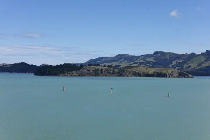 Christchurch, Neuseeland - Photo 32