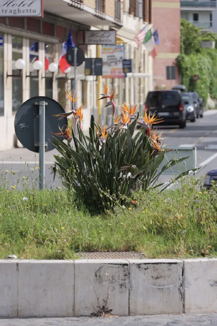 Civitavecchia, Italien - Photo 3