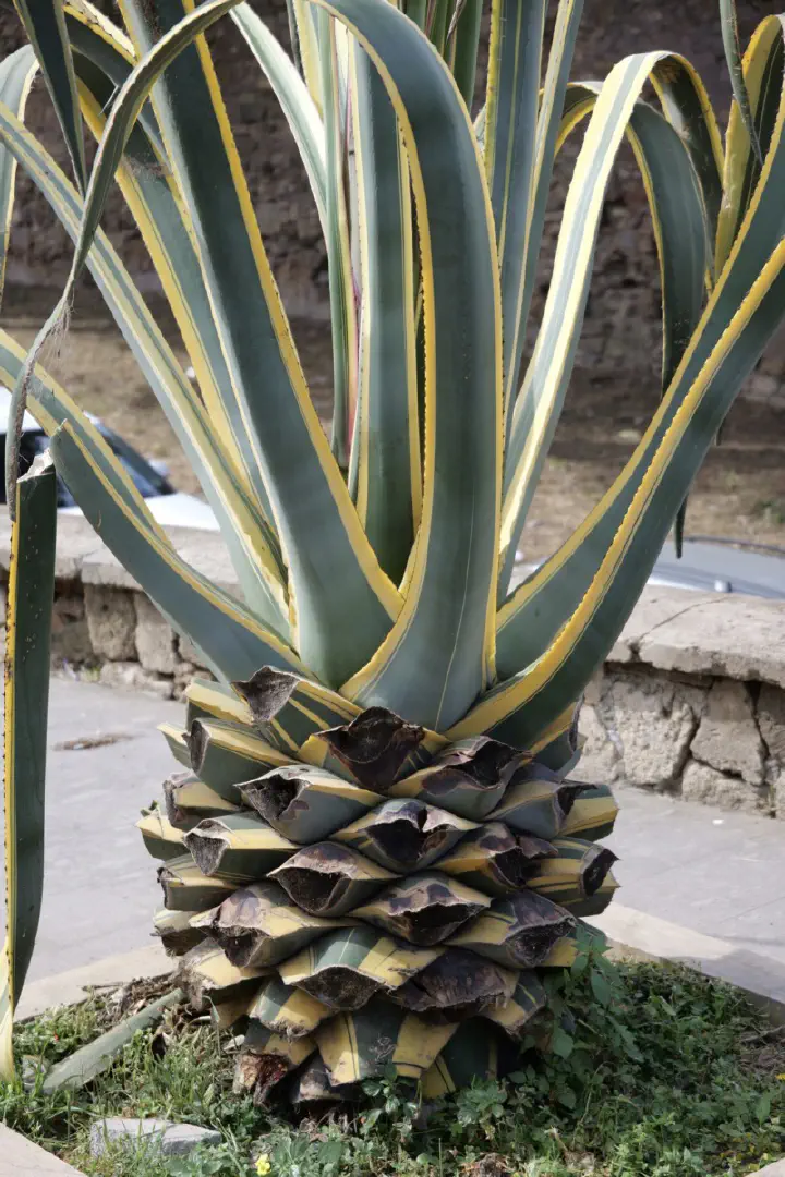 Civitavecchia, Italien - Photo 7