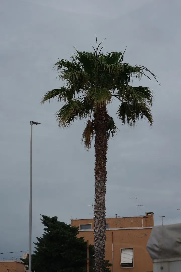 Civitavecchia, Italien - Photo 1