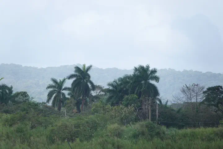 Colón, Panama - Photo 14