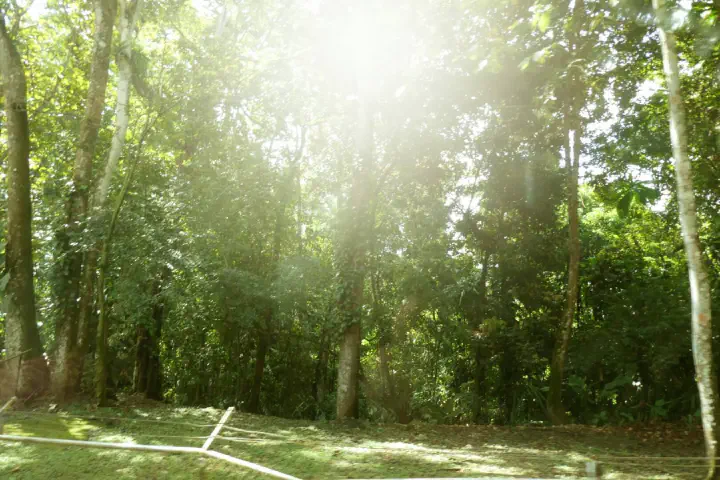 Colón, Panama - Photo 21