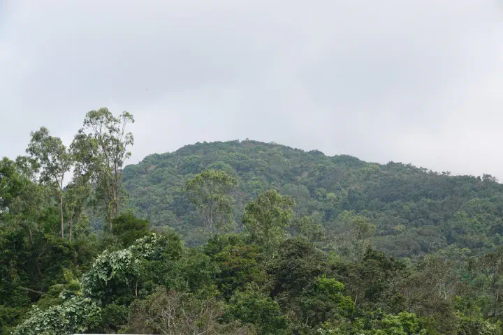 Da Nang, Vietnam - Photo 20