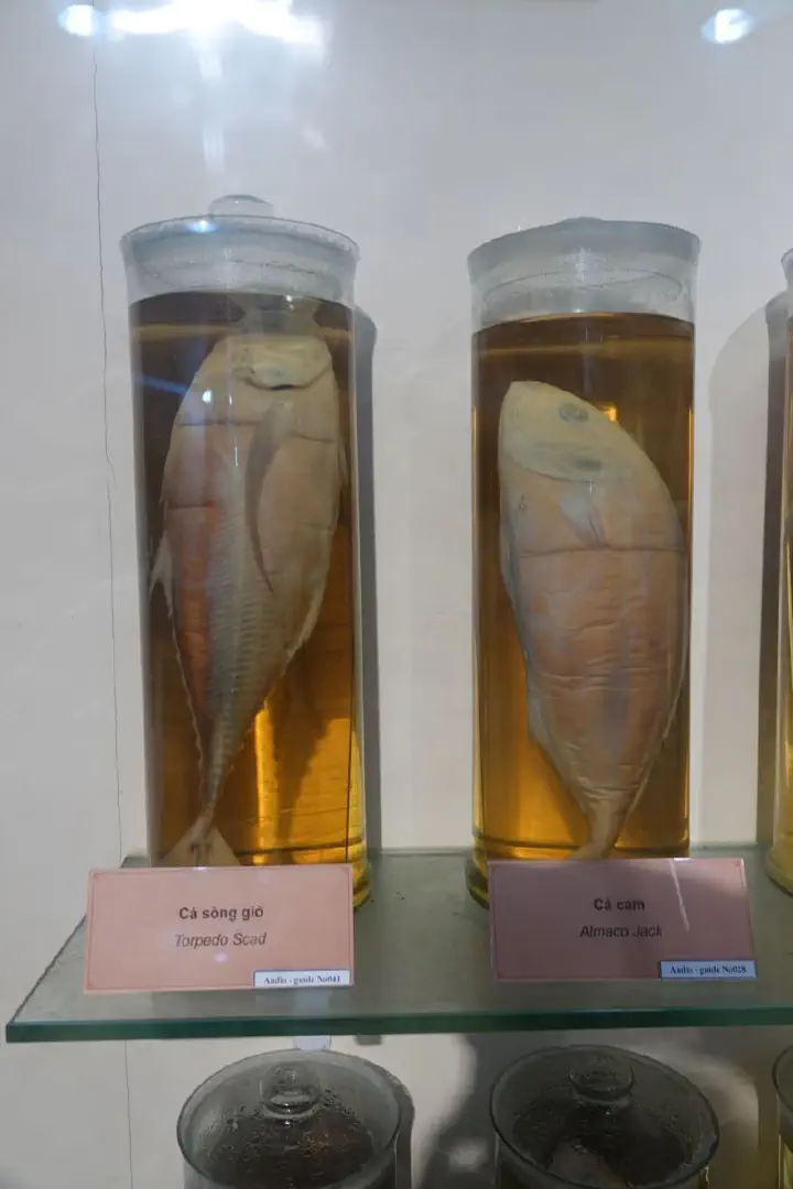 Da Nang, Vietnam - Photo 41