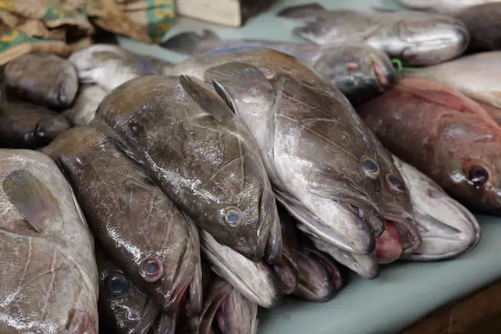 Dakar, Senegal - Photo 10