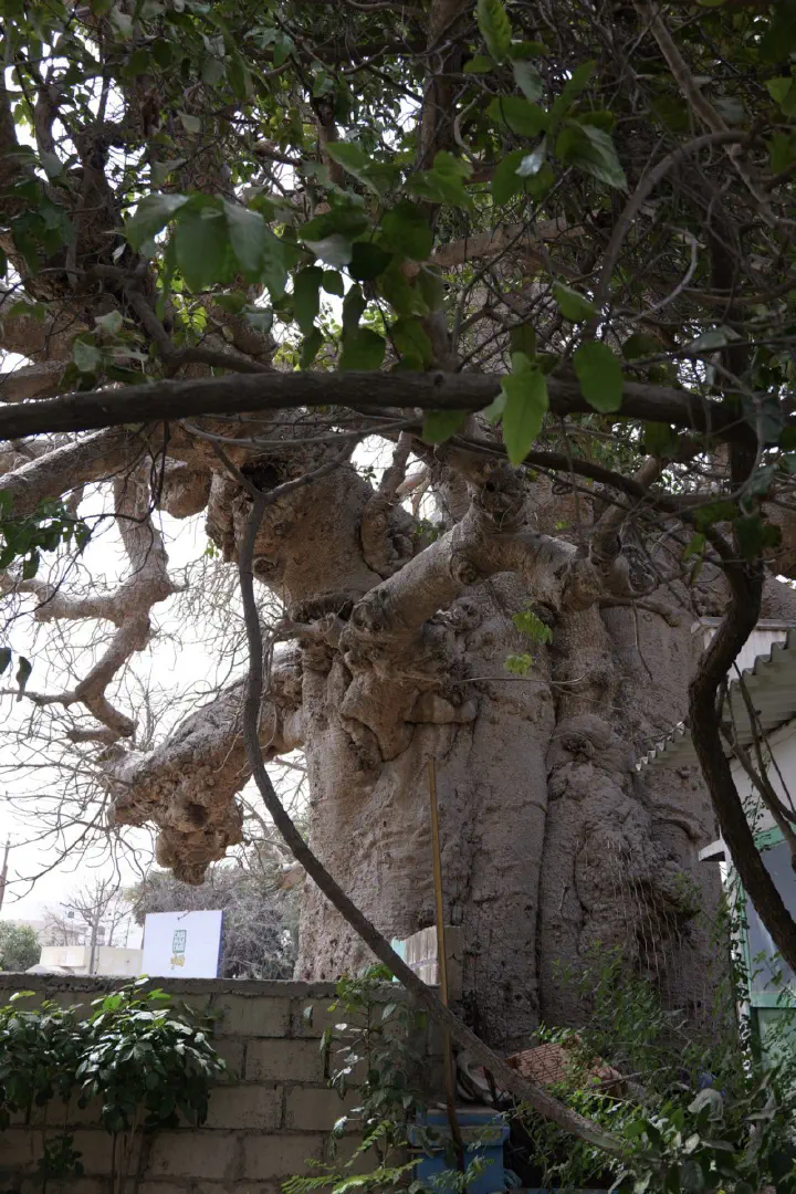 Dakar, Senegal - Photo 31