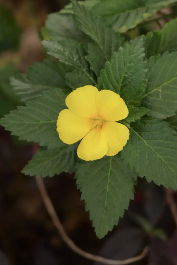 Dakar, Senegal - Photo 37
