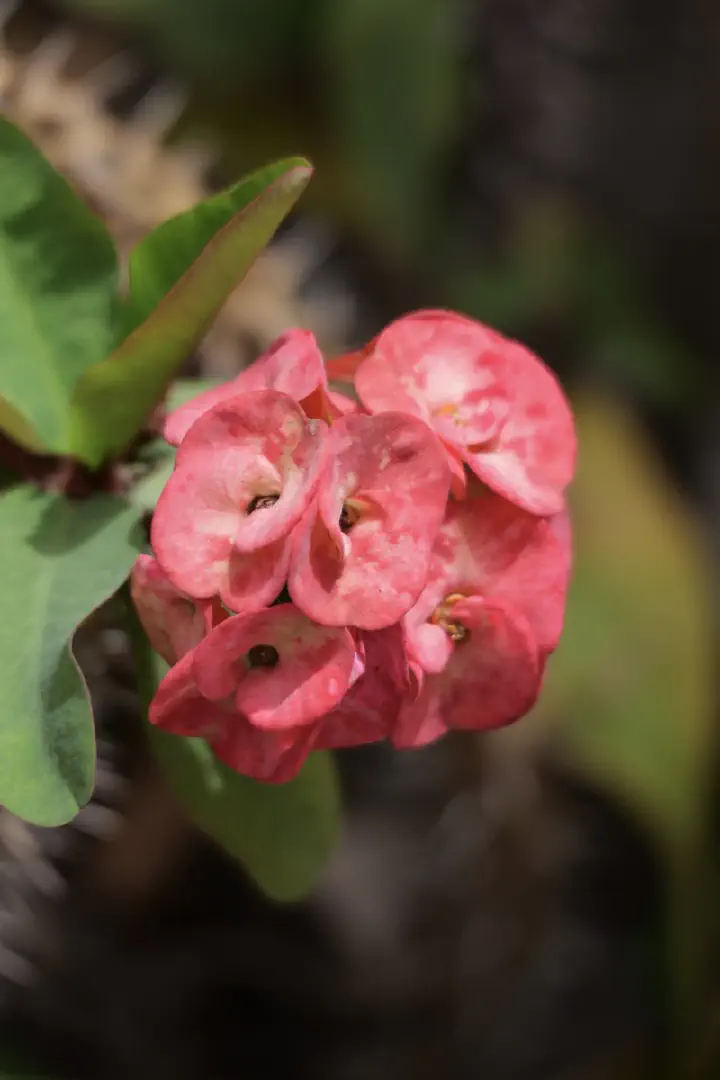 Dakar, Senegal - Photo 39