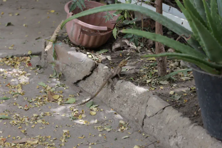 Dakar, Senegal - Photo 40