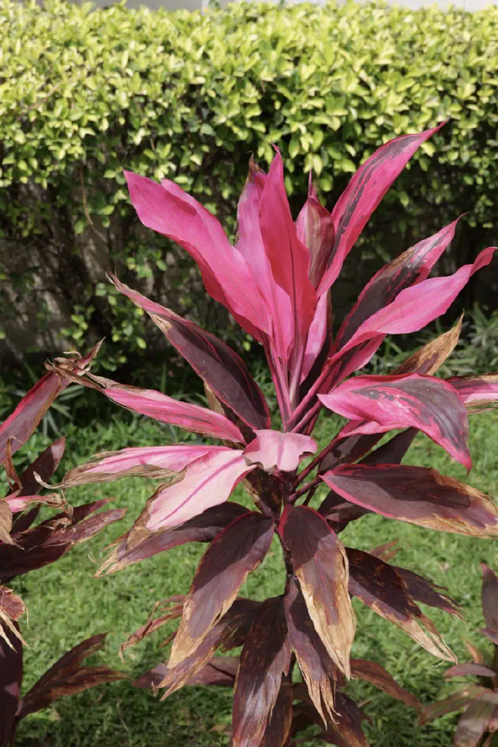 Dakar, Senegal - Photo 47