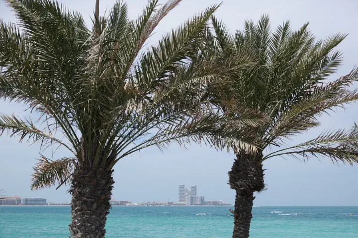 Dubai, VAE - Photo 8