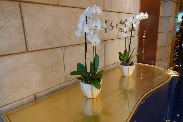 Dubai, VAE - Photo 10