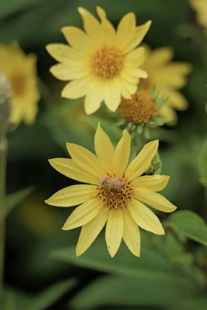 Dunedin, Neuseeland - Photo 30