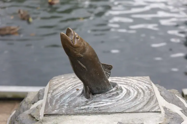 Dunedin, Neuseeland - Photo 34