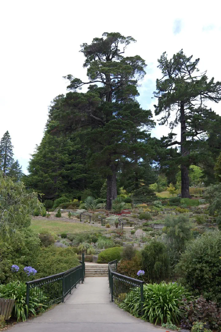 Dunedin, Neuseeland - Photo 36