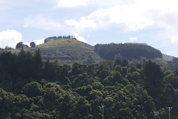 Dunedin, Neuseeland - Photo 38