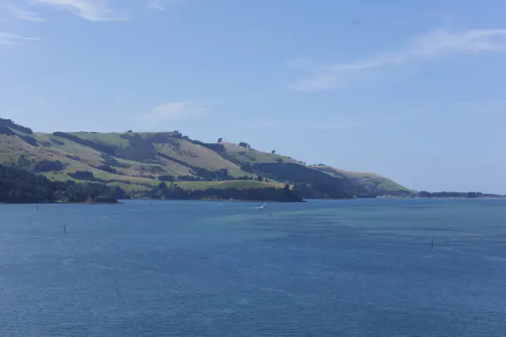 Dunedin, Neuseeland - Photo 39