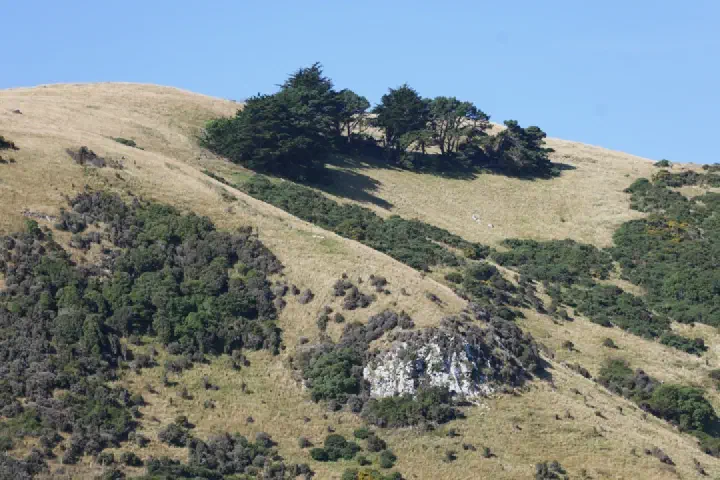 Dunedin, Neuseeland - Photo 43