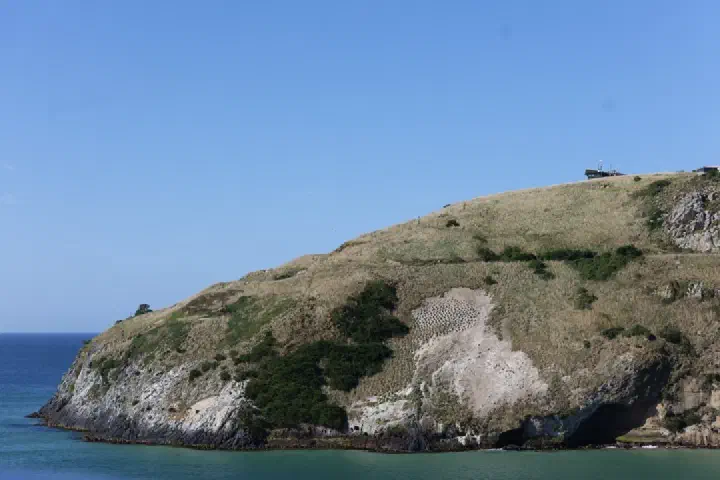 Dunedin, Neuseeland - Photo 44