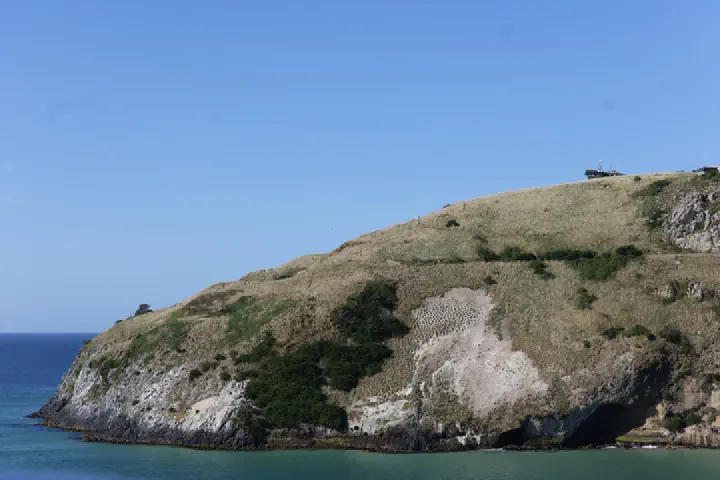 Dunedin, Neuseeland - Photo 44