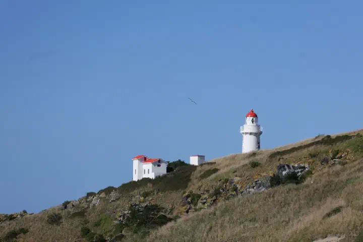 Dunedin, Neuseeland - Photo 45