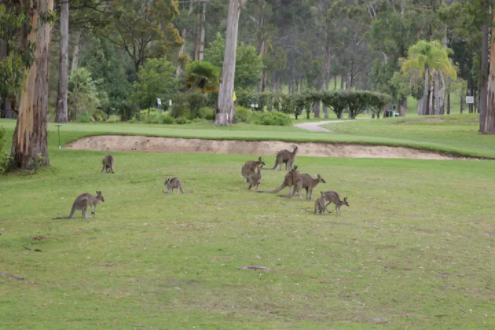 Eden, Australien - Photo 2