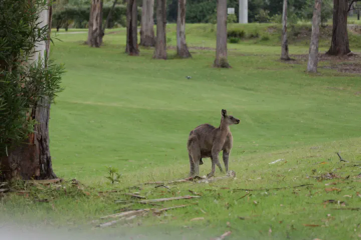 Eden, Australien - Photo 3
