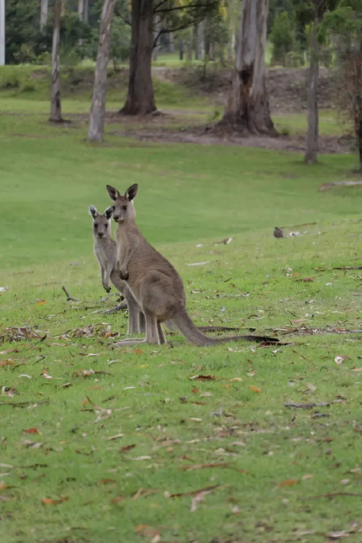 Eden, Australien - Photo 4