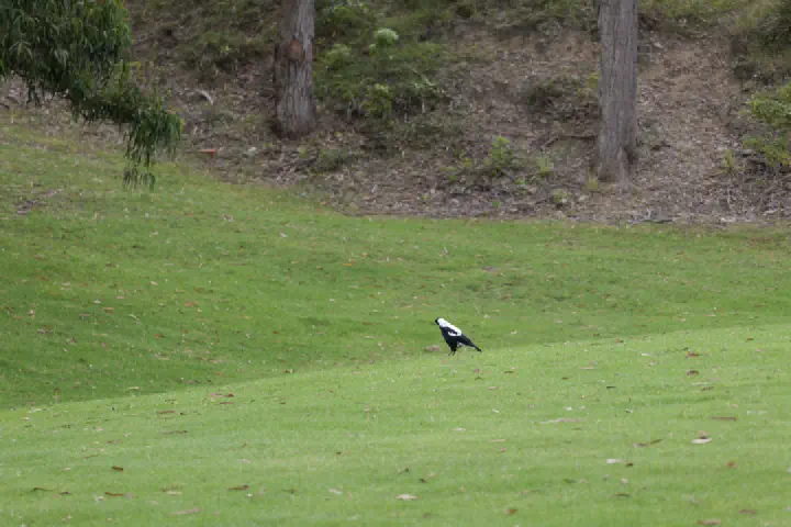 Eden, Australien - Photo 6