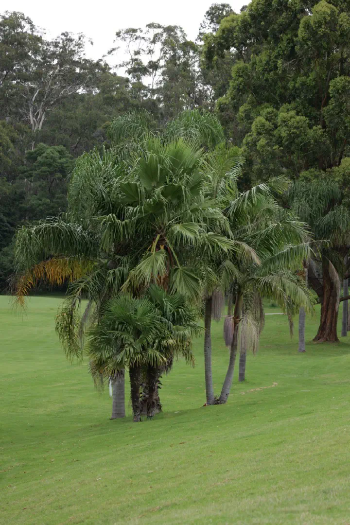 Eden, Australien - Photo 8