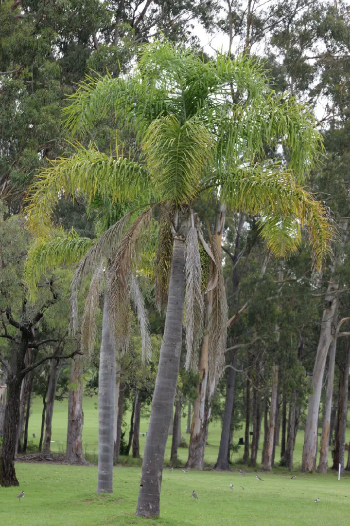 Eden, Australien - Photo 9