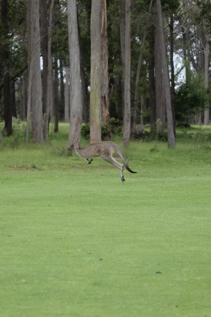 Eden, Australien - Photo 13