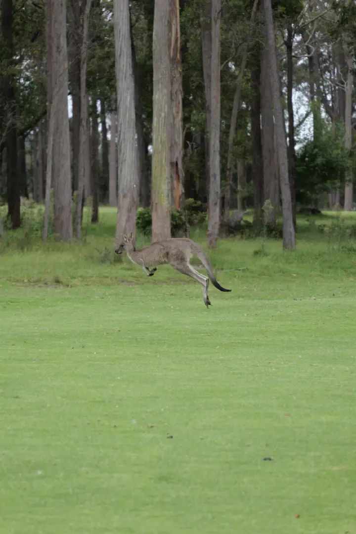 Eden, Australien - Photo 13