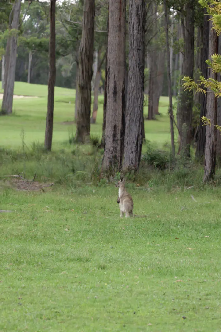 Eden, Australien - Photo 15